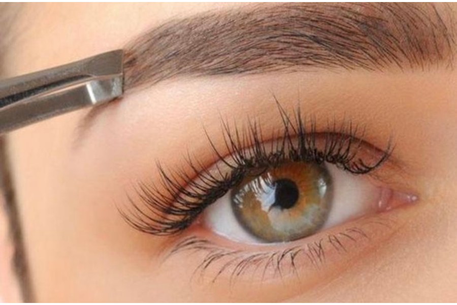 Lashes